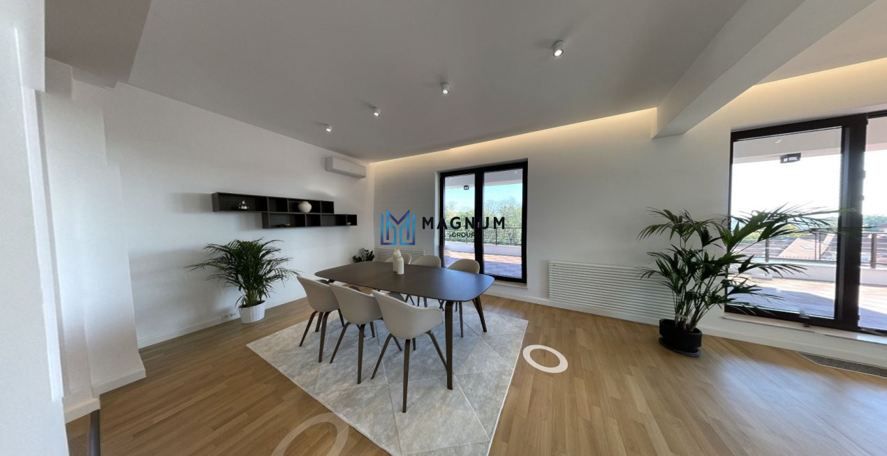 Penthouse unicat de vanzare- Kiseleff- Delavrancvea