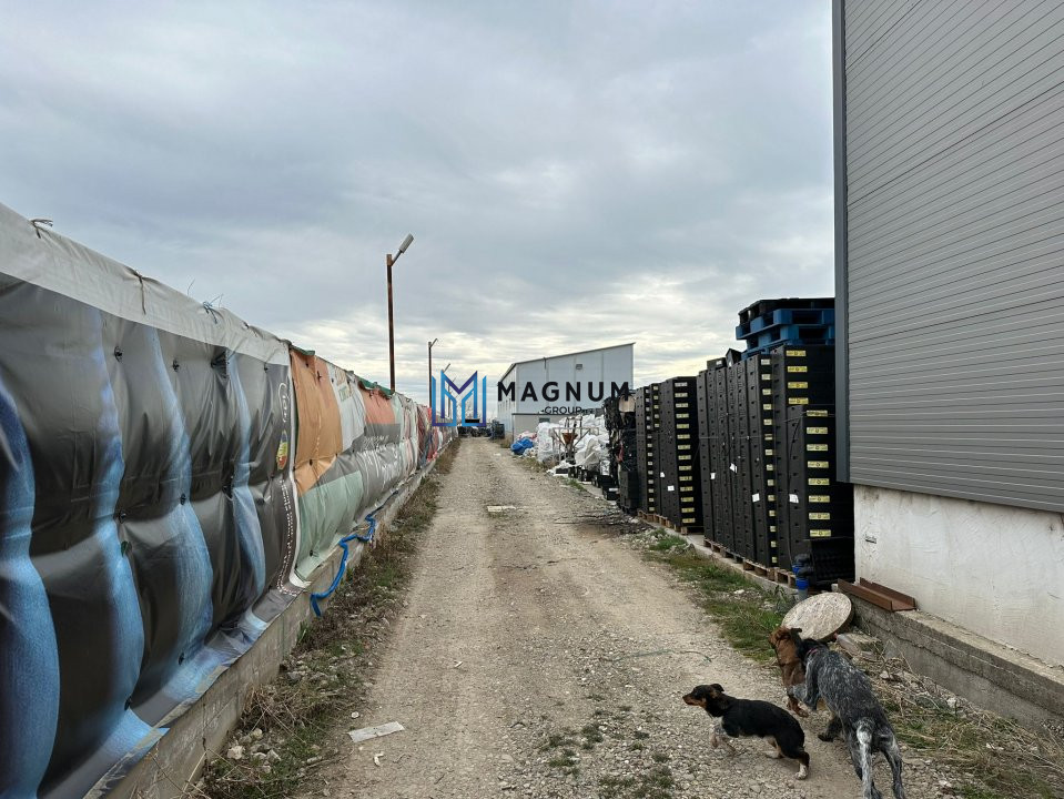 Fabrica de reciclare mase plastice