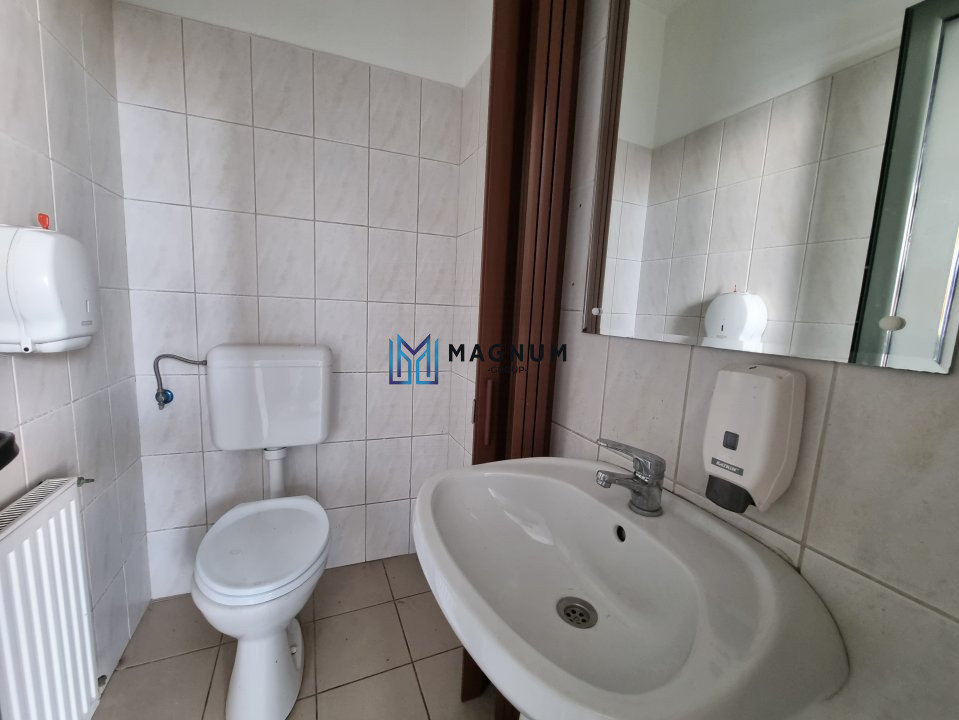 Spatiu comercial Calea Calarasilor - comision 0%