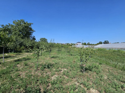 Teren de vanzare in Jilava, Ilfov