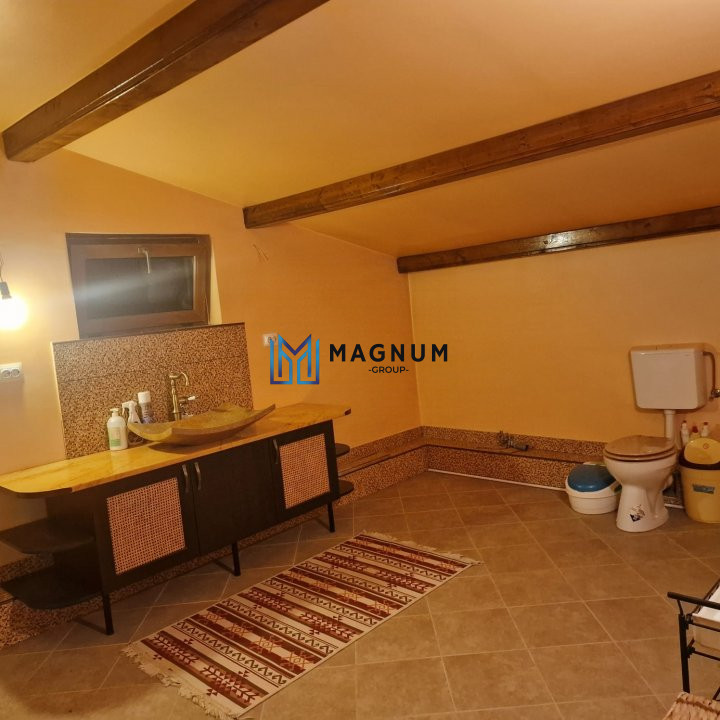 Casa individuala de vanzare in Copaceni Ilfov