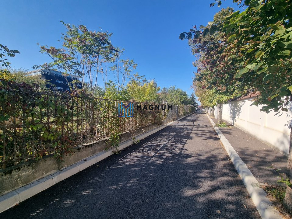 Teren 7029mp strada Nuferilor - Oportunitate investitie