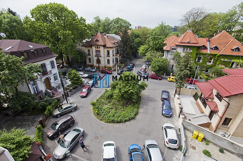 VIla Kiseleff de vanzare- Palat