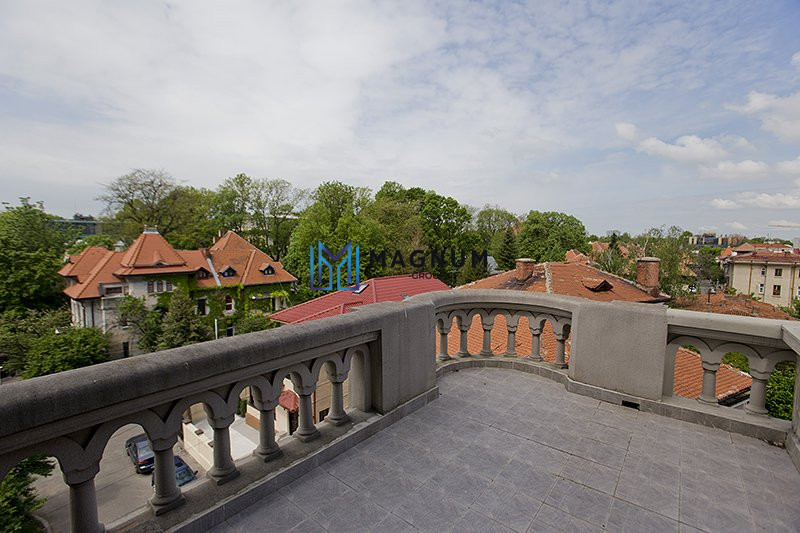 VIla Kiseleff de vanzare- Palat