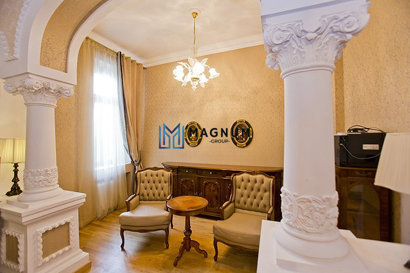 VIla Kiseleff de vanzare- Palat