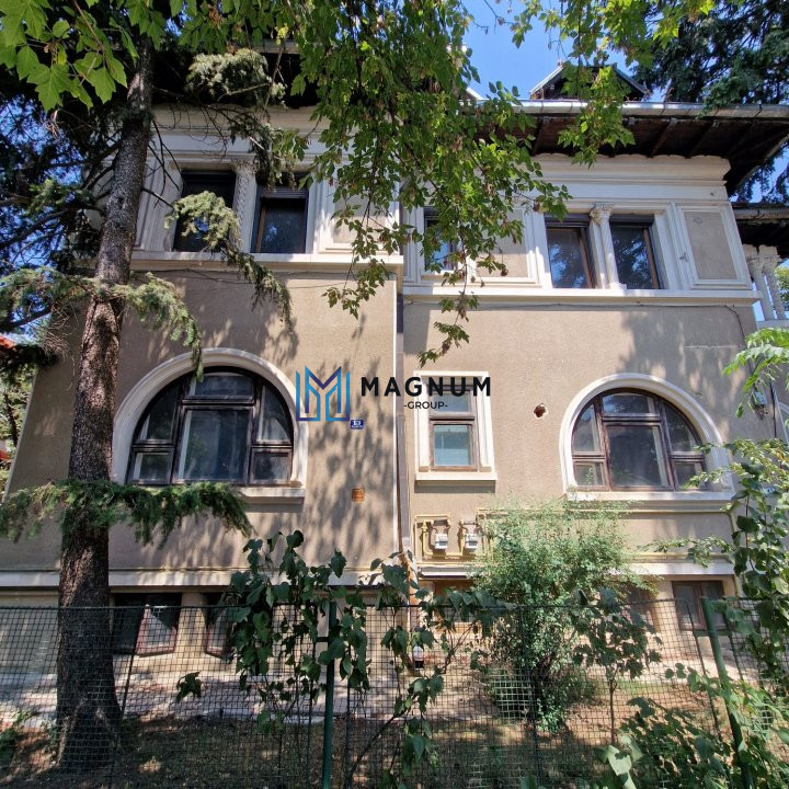 Vila cu arhitectura deosebila de vanzare- Primaverii- televiziune