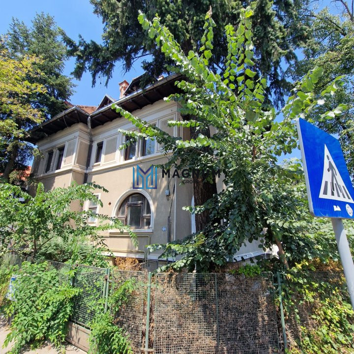 Vila cu arhitectura deosebila de vanzare- Primaverii- televiziune