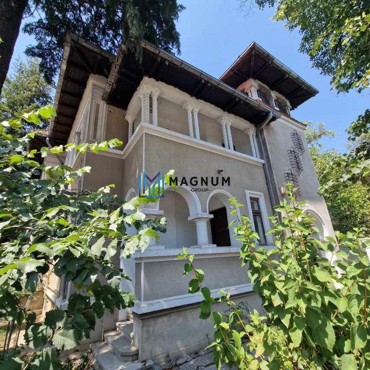 Vila cu arhitectura deosebila de vanzare- Primaverii- televiziune