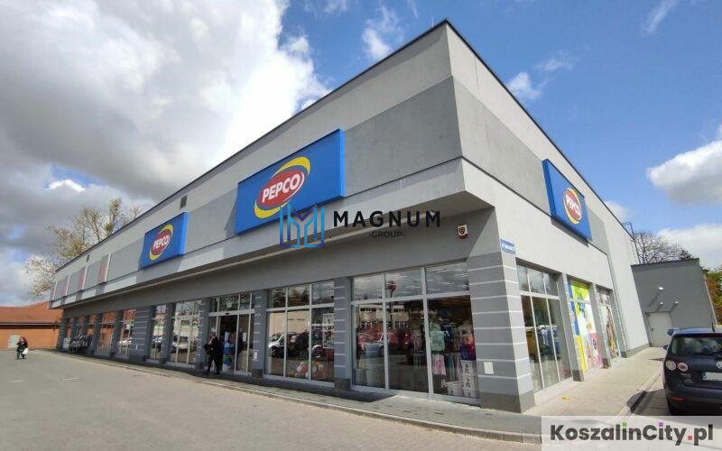 Centru Comercial de vanzare- Penny- Domnesti